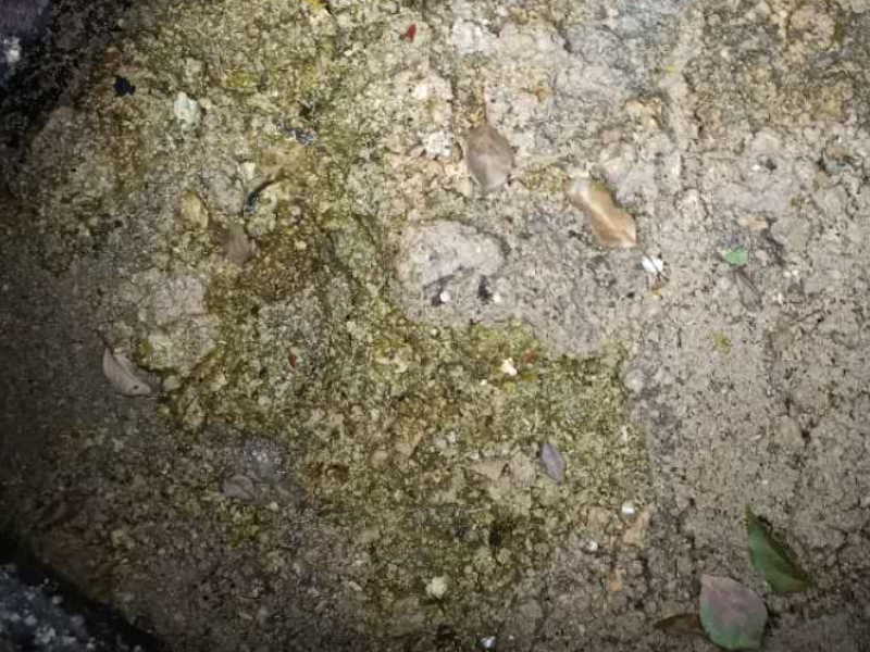 东丽管道清洗哪里有